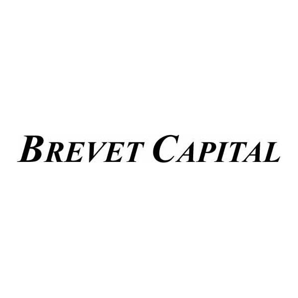 Platinum Project Sponsor