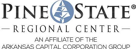 Project Level Sponsor